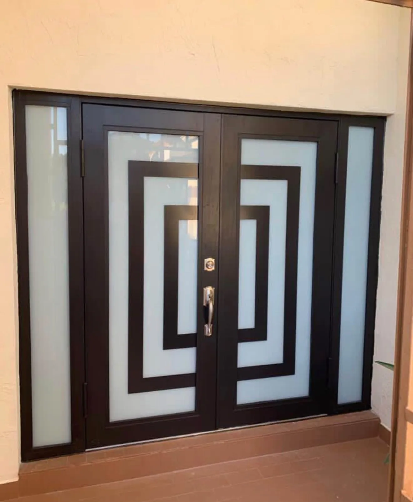 Puerta exterior de lujo