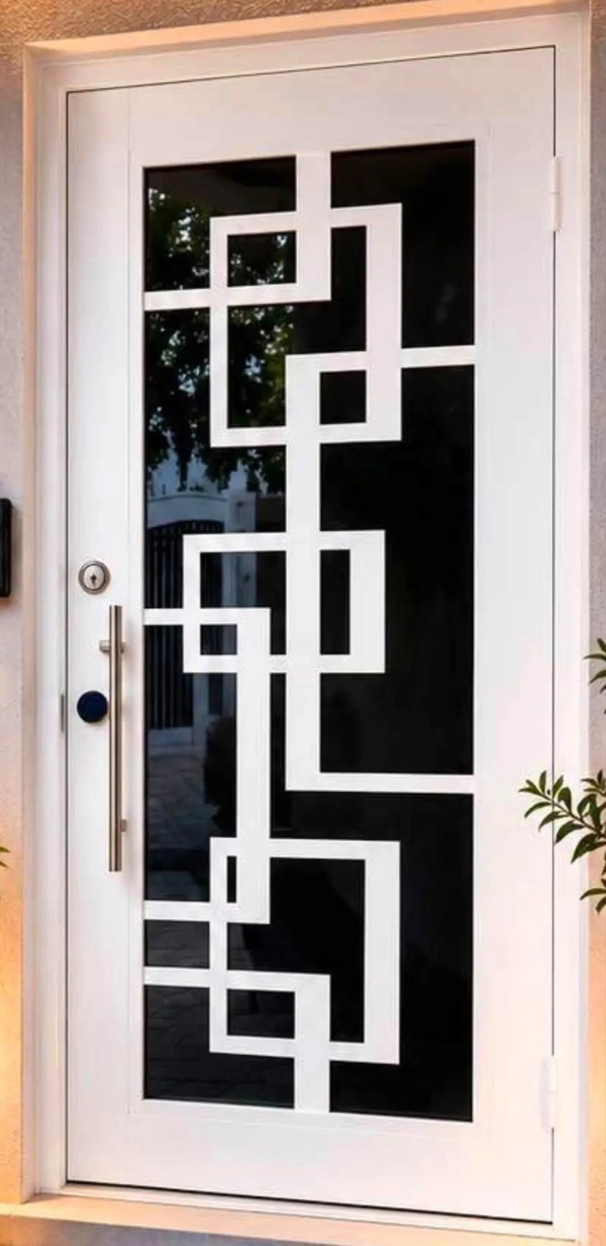 Puerta exterior de lujo