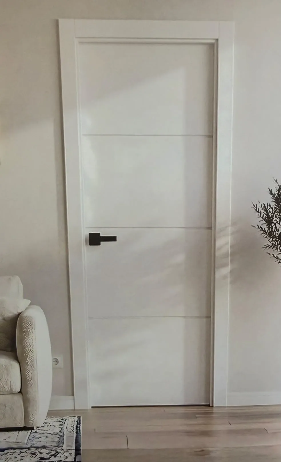 Puerta interior elegante